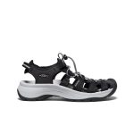 Women's Astoria West Sandal  |  Black/Grey